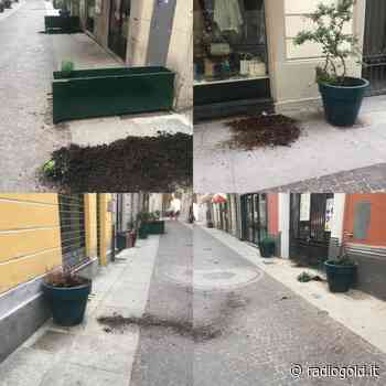 Vasi e fioriere svuotati in via Ferrara: atto vandalico ad Alessandria - Radiogold