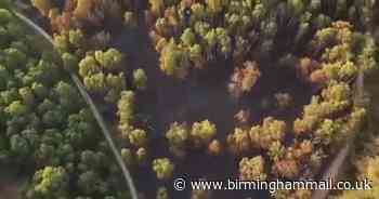Devastating footage shows destruction after fires at Cannock Chase