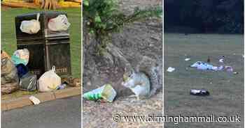 Litter and a squirrel eating crisps- the city parks hit by avalanche of waste