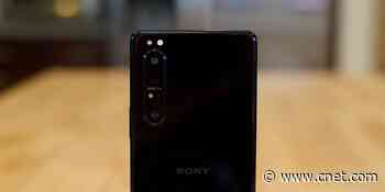 Sony Xperia 1 II phone camera review: You had me at eye autofocus     - CNET