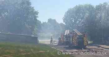 Smoke billows into the sky as firefighters battle allotment blaze in Gateshead