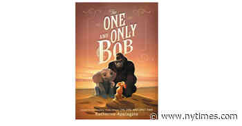 For Fans of Ivan, the Answer to ‘What About Bob?’