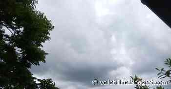 Allerta meteo: dalla tarda mattinata di oggi attese pioggia e vento su Velletri - Velletri
