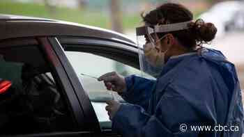 Ontario reports 323 new COVID-19 cases as testing numbers top 20,000