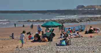 Government scientific advisers warn it's 'too fast to lift lockdown in England'