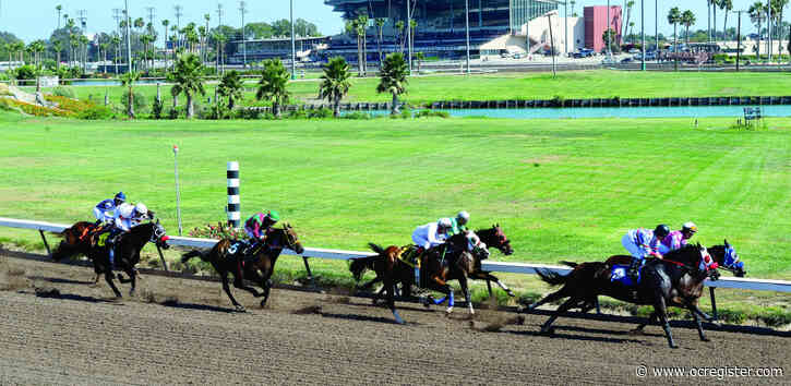 3-year-old colt dies after injury in Los Alamitos race