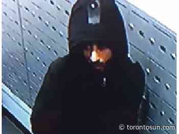 Man sought in theft of mail from Toronto condo building - Toronto Sun