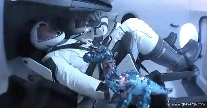 Meet the cute stuffed animal that hitched a ride on SpaceX’s historic launch