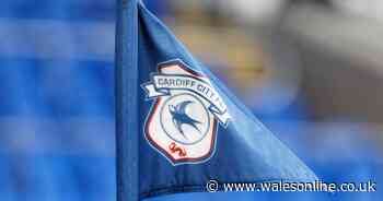 Cardiff City return one positive result after third round of testing