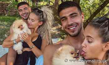 Molly-Mae Hague and Tommy Fury dote on their luxury Pomeranian puppy Mr Chai