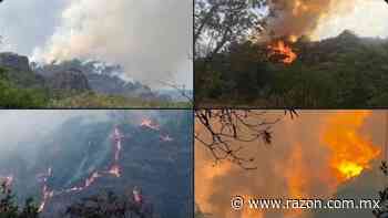 Cerro en Tepoztlan arde durante mas de 10 horas (VIDEOS) - La Razon