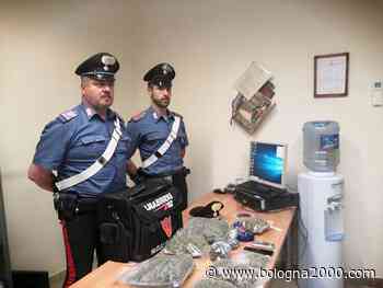 Aveva un chilo di “erba” in cantina, arrestato - Bologna 2000
