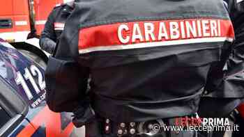 Nella borsetta oltre 2mila euro, in casa 300 grammi di “erba”: due arresti - LeccePrima