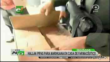 Violación en Mairana: Policía halla pipas de marihuana en casa del farmacéutico - eju.tv