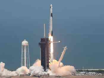 NASA-SpaceX mission, stuffed dinosaur float across Twitter     - CNET