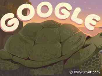 Google Doodle slideshow celebrates Galapagos Islands     - CNET