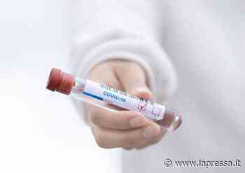 Avis Modena, al via test sierologici sulle donazioni di sangue - La Pressa