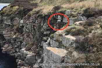 Lamb stuck on rocky ledge saved by abseiling rescuers - Chelmsford Weekly News