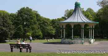Call for new parks across Newcastle amid  'severe' shortfall