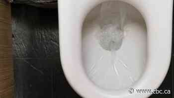 Testing for COVID-19 in sewage could serve as 'advance warning,' help prepare for 2nd wave