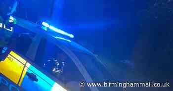 Entire police team swoop on 60 person party in park