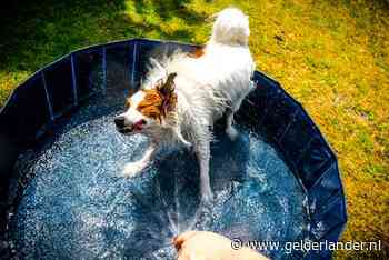 Waarschuwing: sproei niet en vul geen zwembaden want problemen met waterdruk in Oosten