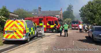 Watch as pigeons rescued from large fire tearing through allotment in Gateshead