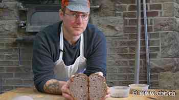 Sask.-grown purple wheat holds promise as grain with health benefits and flash of colour