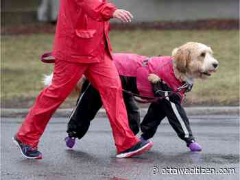 Weather forecast for the Ottawa area on Sunday May 31