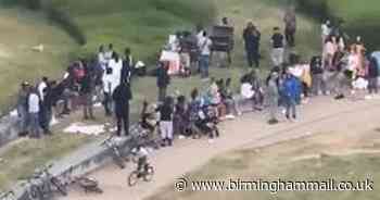 Watch - police called after 80 person BBQ party in Sunset Park