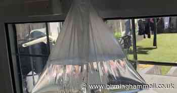 Woman's simple kitchen trick keeps flies and insects at bay