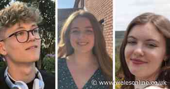 What will university look like next term and should I go?