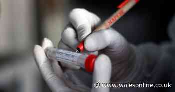 Eleven people with coronavirus die in Wales ahead of Monday's lockdown easing