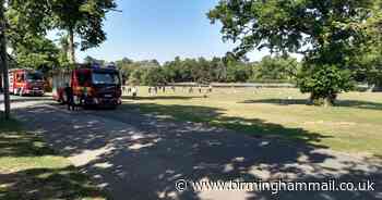 Fire crews turn up in engines to clean up mounds of litter in Cannon Hill Park
