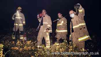 Pictured: Firefighters tackle blaze on White Mountain
