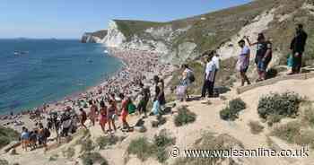 Crowds return to closed beach after three injured cliff-jumping