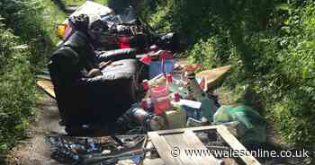 Sofa, mattress and a door all dumped on a driveway