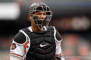 Baltimore Orioles: Pedro Severino Was Better Than We Think in 2019 - Birds Watcher