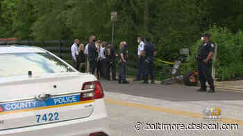 Woman’s Body Found In Wooded Area Of Cockeysville - CBS Baltimore