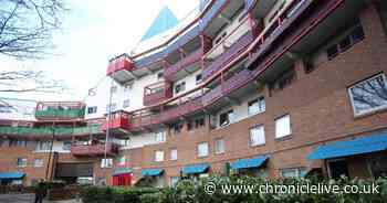 How residents on the Byker Wall Estate have been coping with life in lockdown