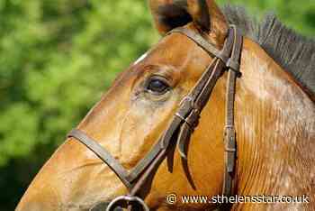 Ambulance called as rider falls from horse at Colliers Moss - St Helens Star