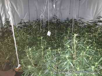 Cannabis farm found in house after police warrant - St Helens Star
