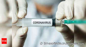 4 Indian coronavirus vaccines to begin human trials soon - Times of India