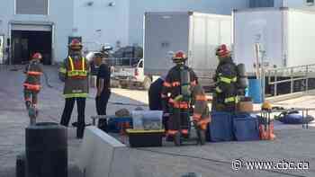 Ammonia leak at Maple Lodge Farms in Brampton led to evacuation of plant, nearby homes