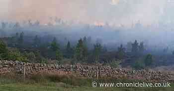 'Stay away' warning issued as major wildfire breaks out in Northumberland