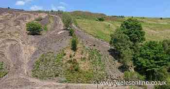Man rescued from ledge after slipping down the side of a mountain