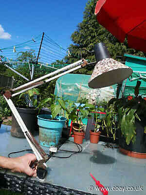 VINTAGE ANGLEPOISE LIGHT-WALL /BENCH FITTING- WORKING BUT IN NEED OF TLC