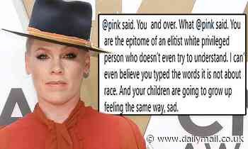 Pink defends herself from Instagram trolls after slamming the 'All Lives Matter' movement