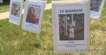 Lawn signs honour families affected by cystic fibrosis as fundraising, advocacy move online