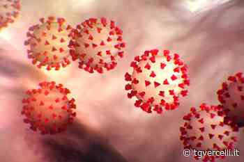 Coronavirus - A Vercelli un solo contagio registrato, ma ci sono tre decessi - tgvercelli.it